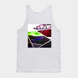 oaxaca landscape in mexico ecopop collage art Tank Top